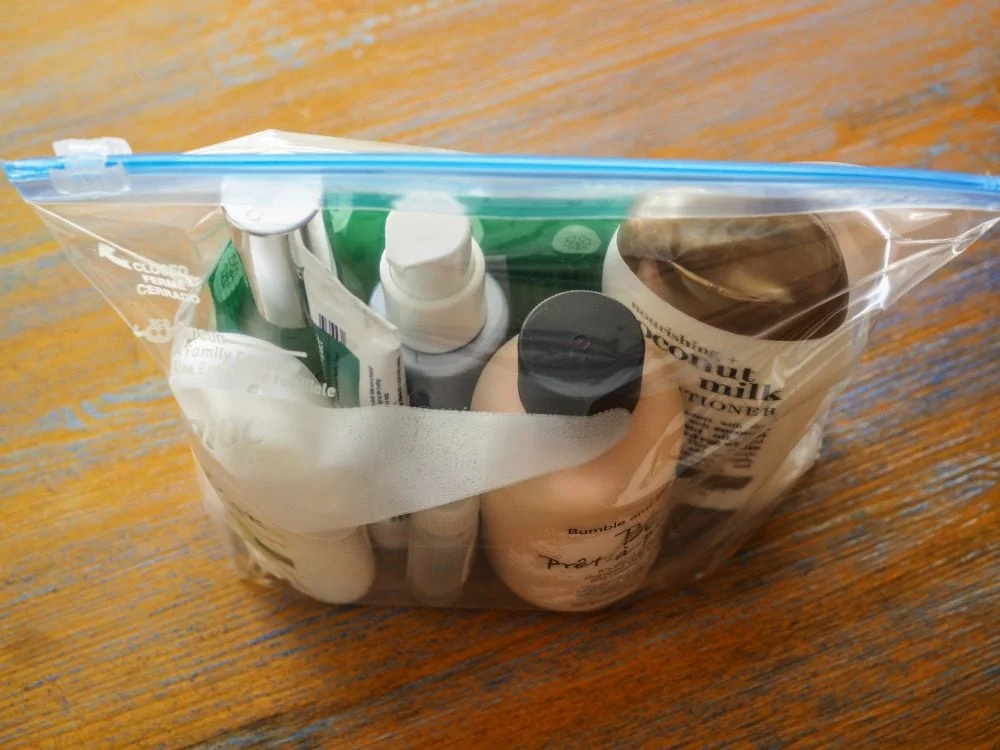 TSA liquids bag