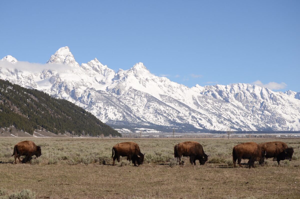 Jackson Hole, Wyoming