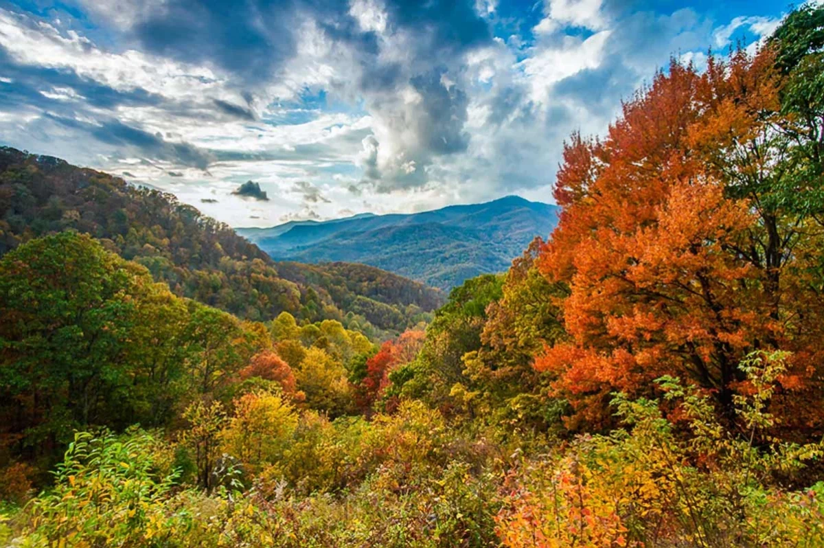 fall foliage Blue Ridge Parkway